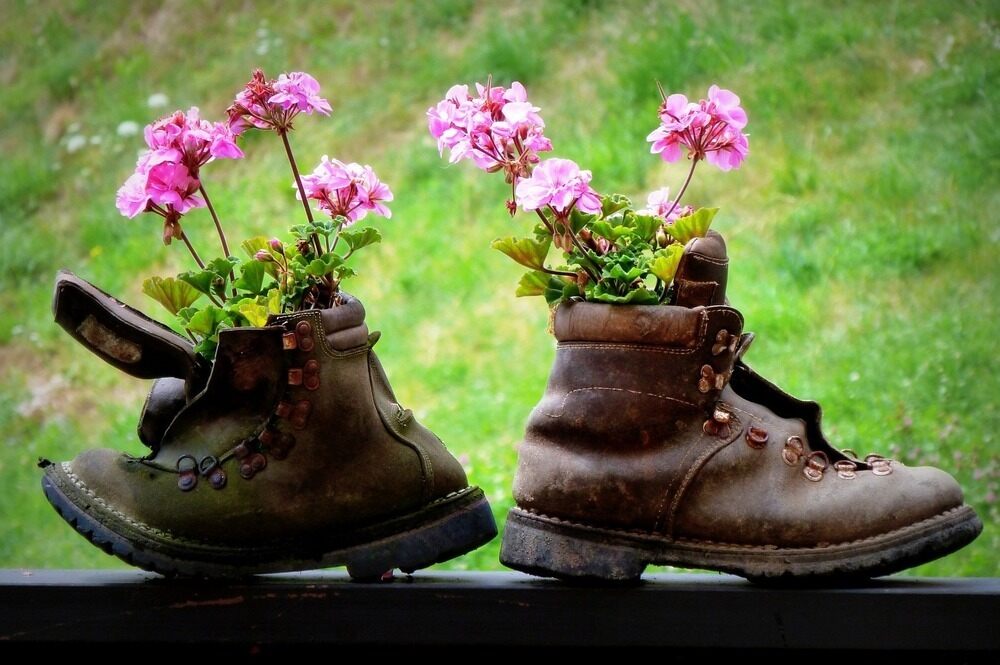 Wandern in der Natur