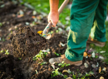 Gartenarbeit für Männer – Das vielleicht beste Hobby der Welt