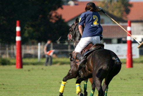 Gentleman-Sport: Polo