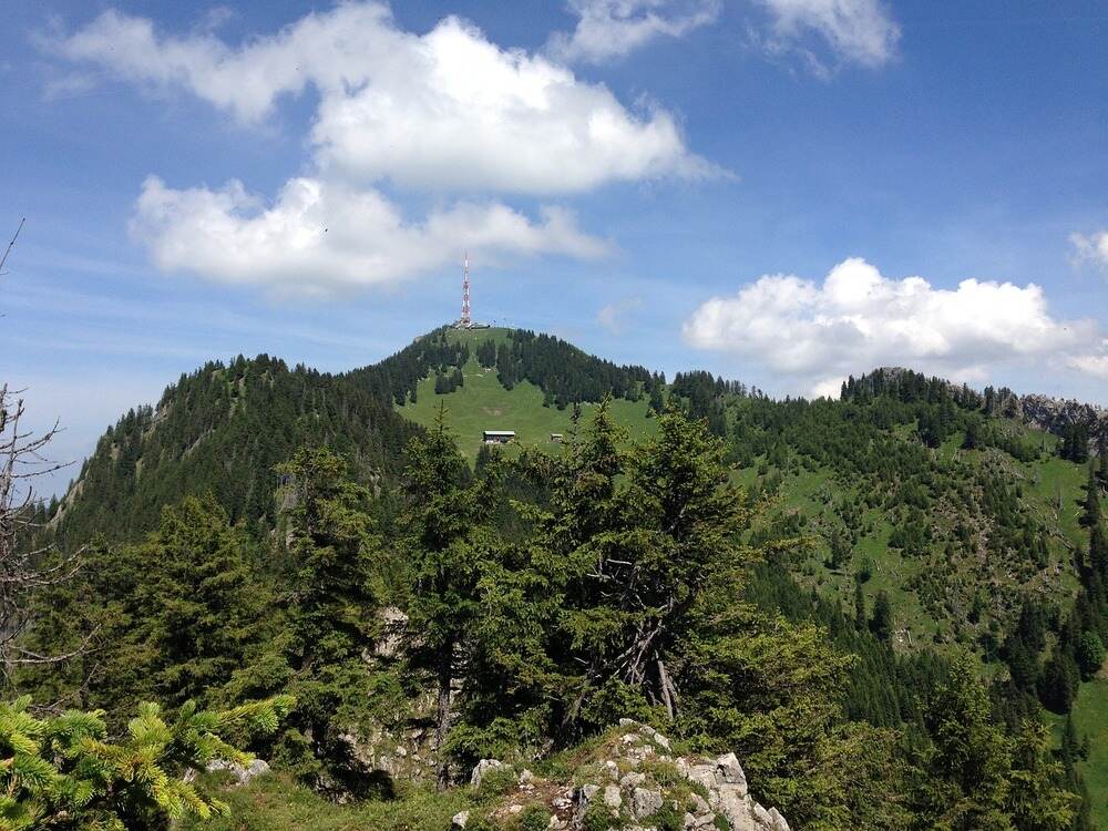 Grüntern im Allgäu