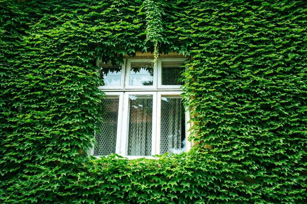 Nachhaltig bauen – So baut der Gentleman ein Haus